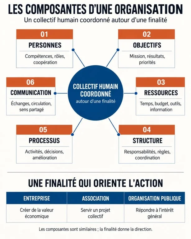 Infographie sur l’orginasation et ses composantes principales