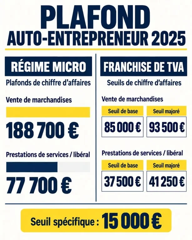 Infographie du plafond auto entrepreneur 2025 et des seuils de TVA selon l’activité
